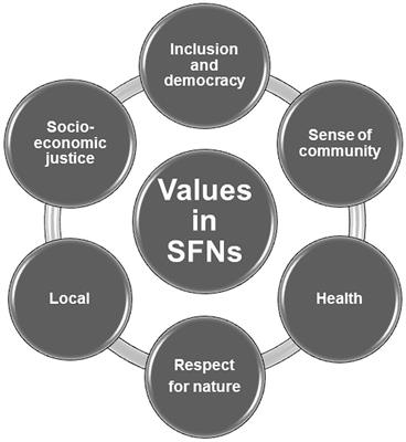 Sustainable food networks, hybridization and values: a case study in Castilla y León (Spain)